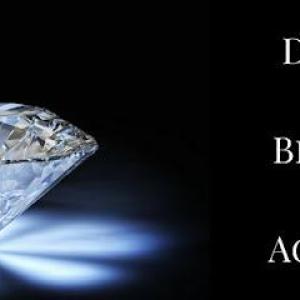 The Diamond Life Project Ltd